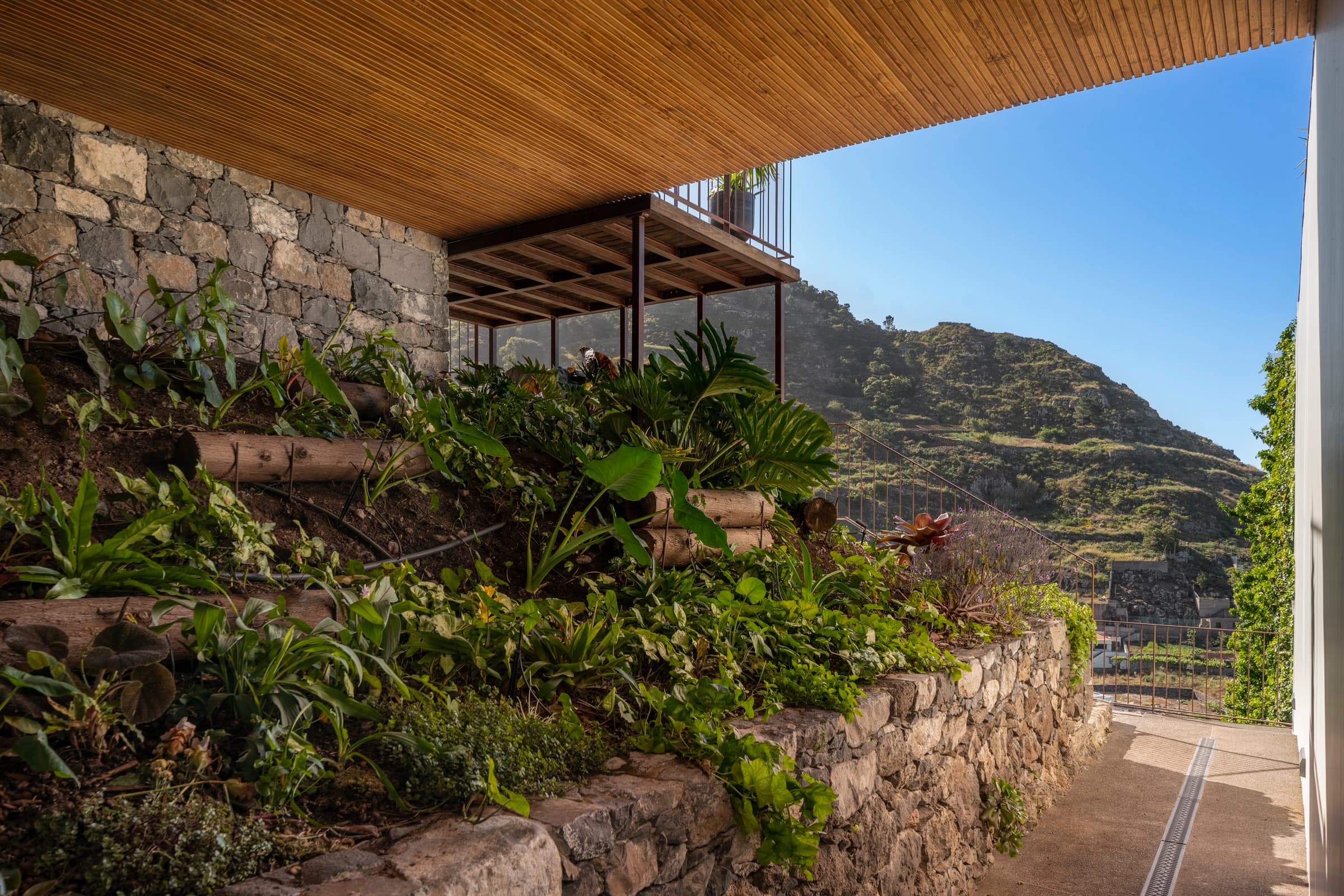 Botânica Living timber walkway overlooking the hillside